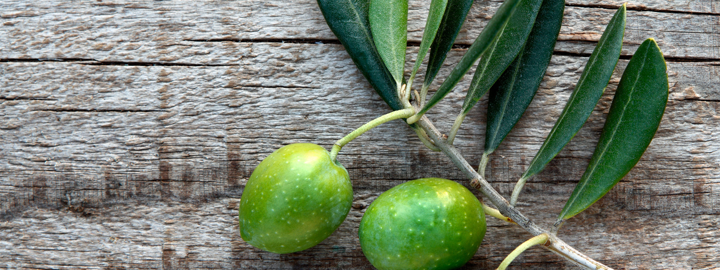 Olive Oil and Olive Leaf FAQs