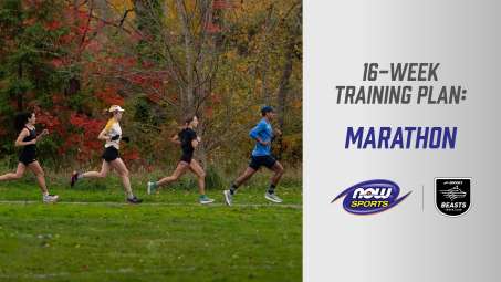 16-Week Training Plan: Marathon NOW Sports Logo and Brooks Beast Logo