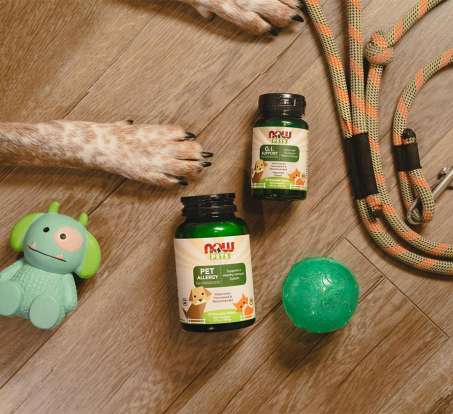 NOW Pets GI Support and Allergy Support with a dogs paws showing with a ball, leash and toy 