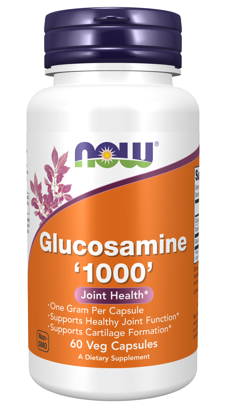 MSM Capsules MSM Pills NOW MSM