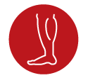 icon of leg muscle