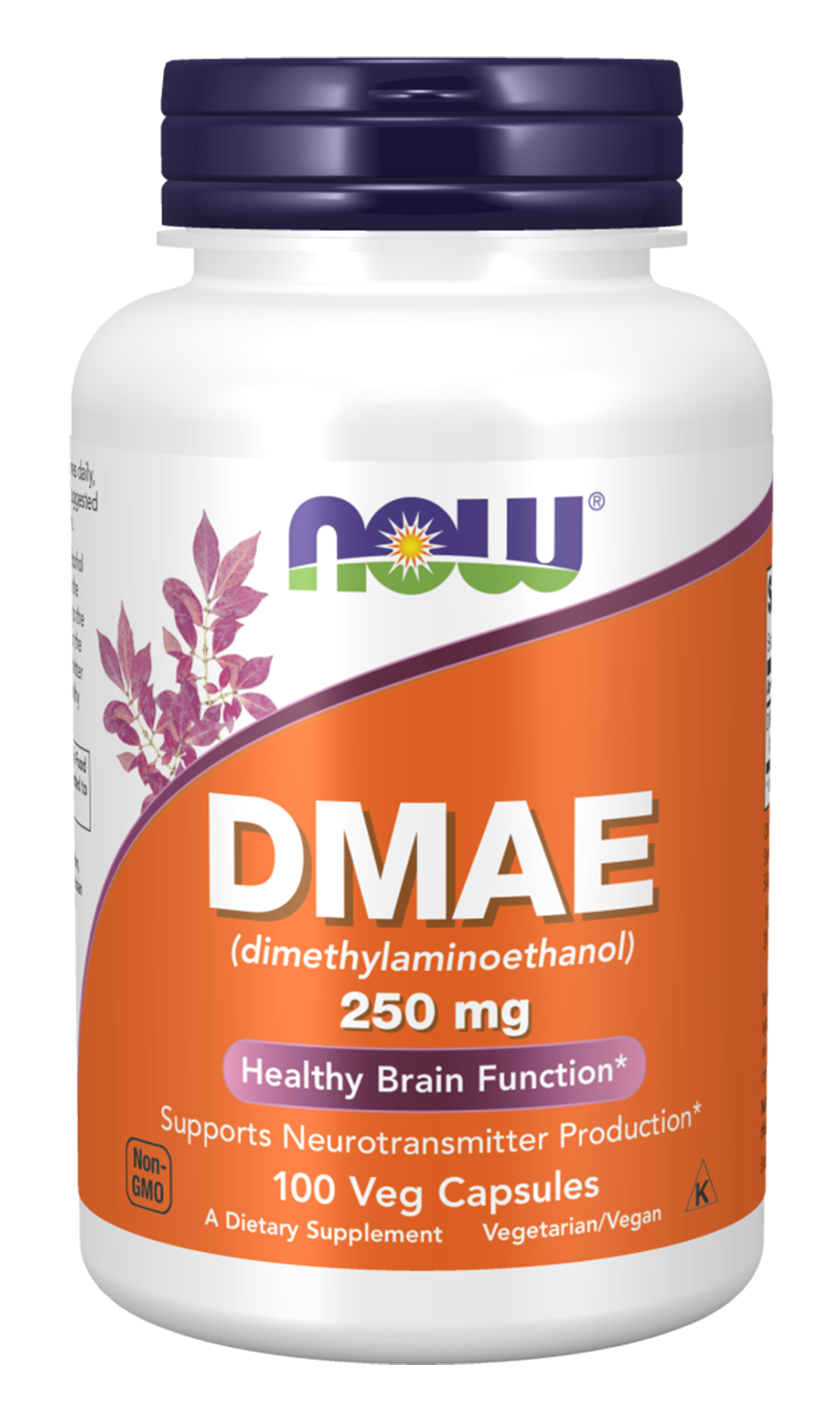 DMAE 250 mg - 100 Veg Capsules bottle front