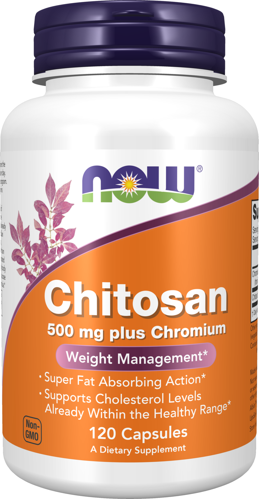 Chitosan 500 mg plus Chromium - 120 Veg Capsules Bottle Front