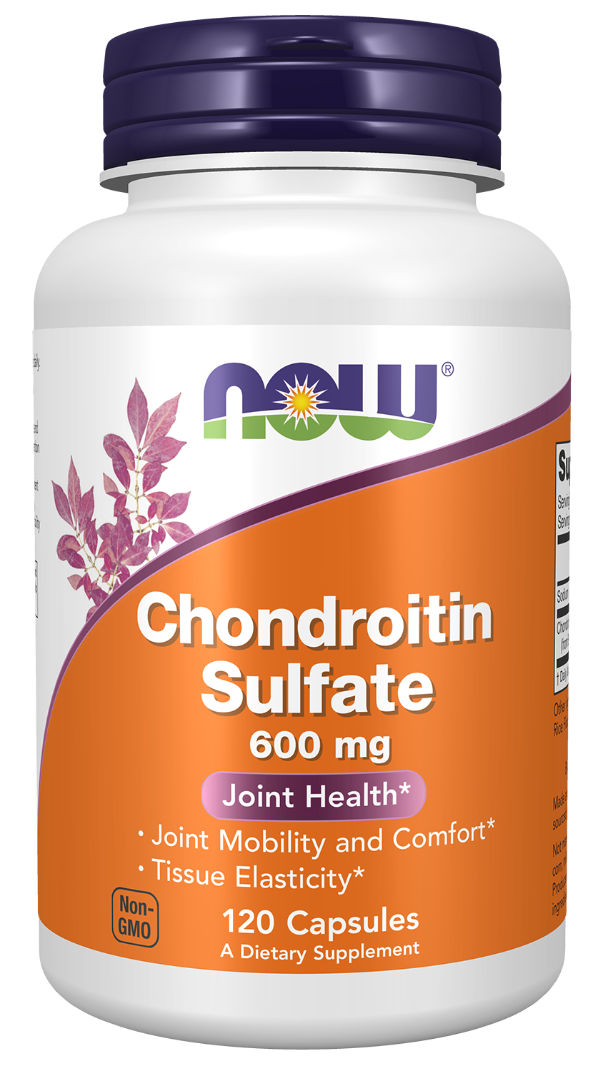 Chondroitin Sulfate 600 mg - 120 Capsules Bottle Front