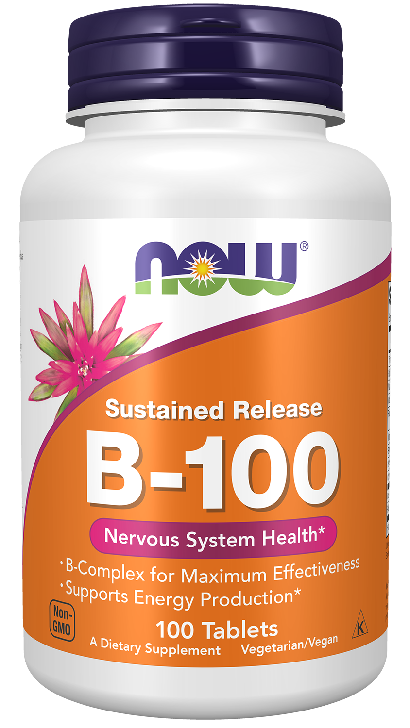 Vitamin B-100 Sustained Release - 100 Tablets Bottle Front