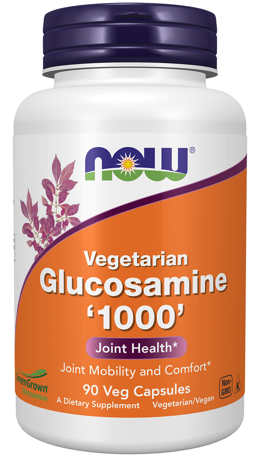 Glucosamine '1000' (Vegetarian) - 90 Veg Capsules Bottle Front