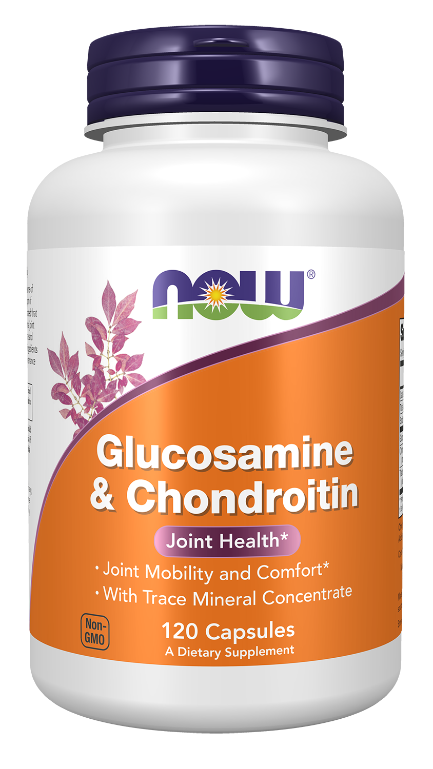 Glucosamine & Chondroitin with Trace Minerals - 120 Veg Capsules Bottle Front