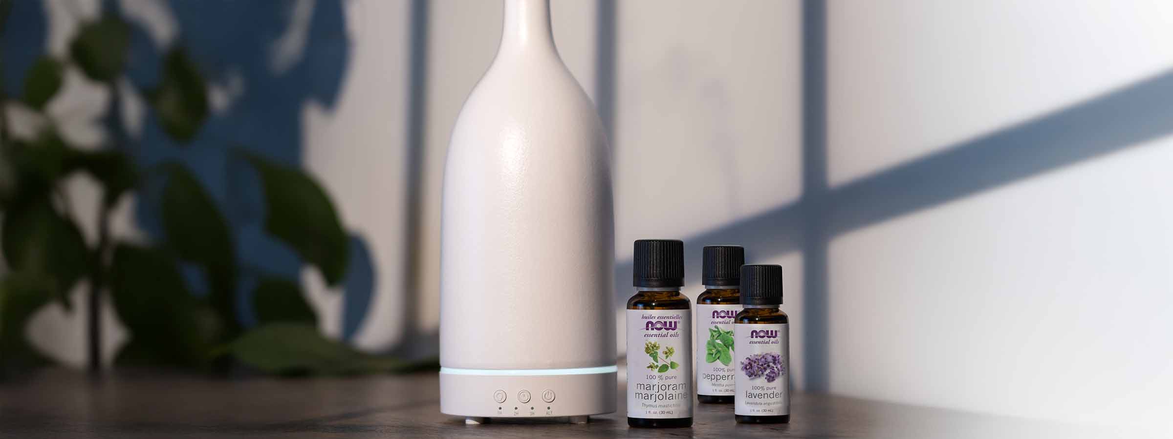 white essential oil diffuser next to three bottles of NOW Essential Oils