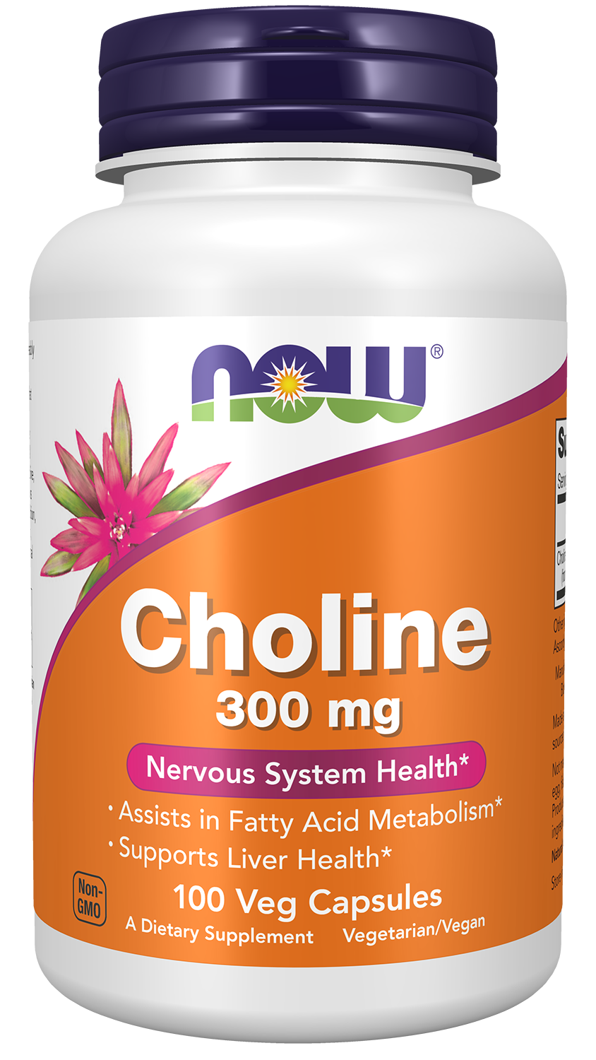 Choline 300 mg - 100 Veg Capsules Bottle Front