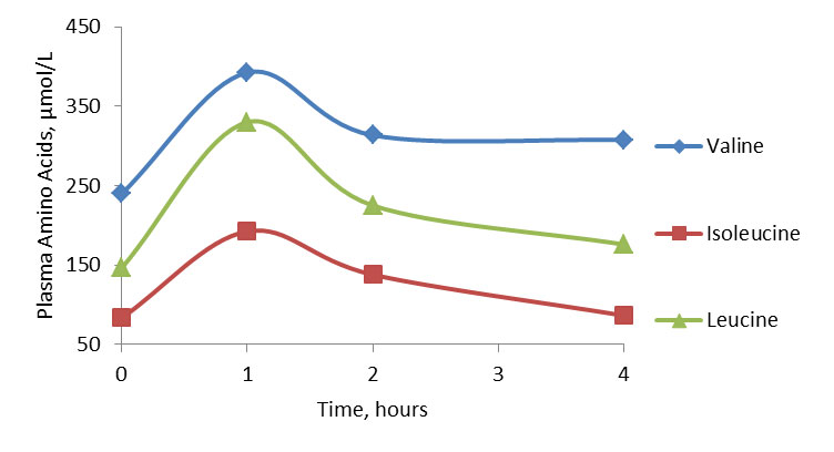 A graph showing Plasma Amino Acids Leucine, Isoleucine and Valine over four hours.