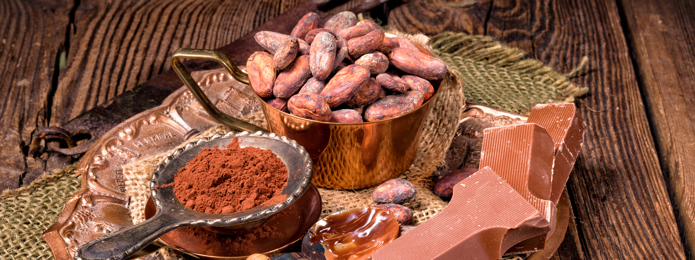 A Sweet Dedication to Sustainable Cocoa