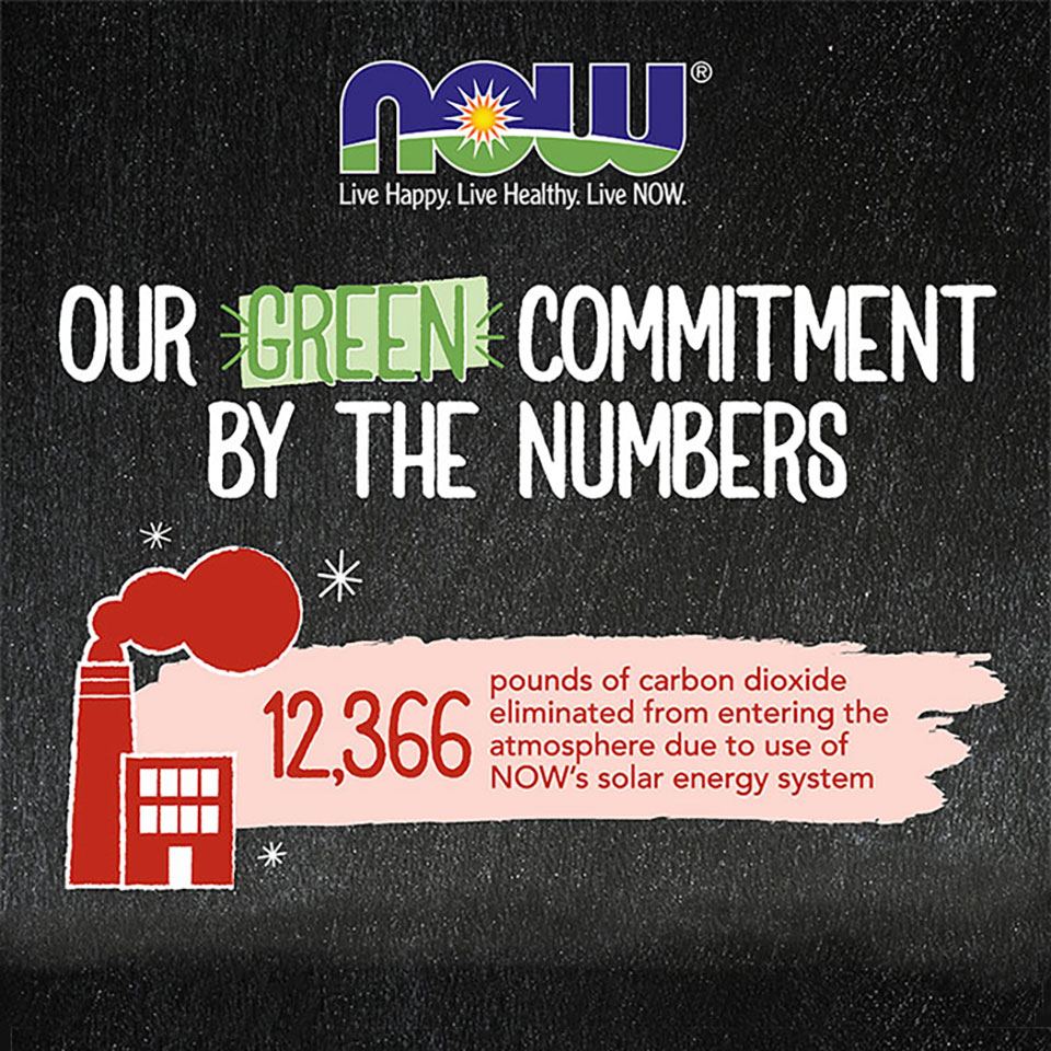 Our Green Commitment By The Numbers text written on a black chalkboard style