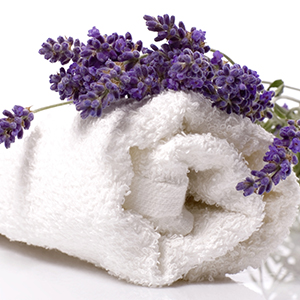 Several purple lavender flowers resting on a soft, white towel.