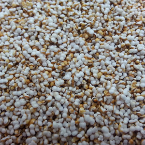 A closeup of Popped Amaranth Parmesan, which looks very similar to popcorn.