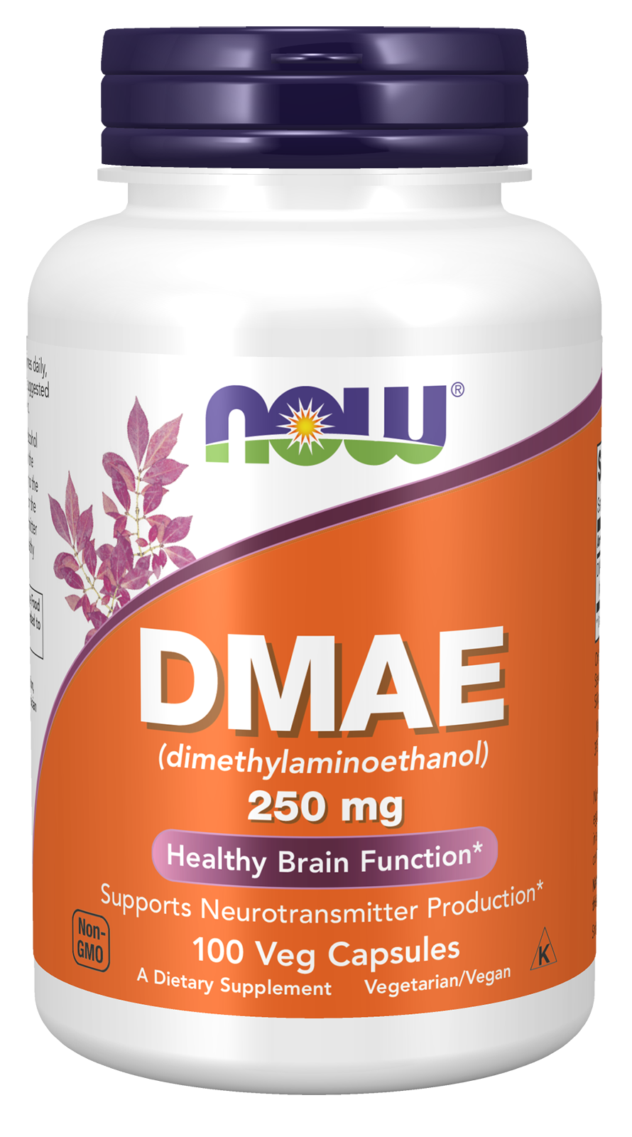 Magtein Shop for Magtein Magnesium LThreonate NOW Foods