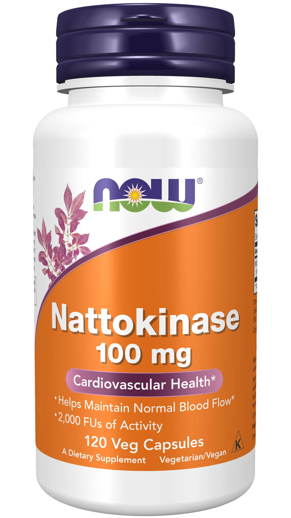 Nattokinase 100 mg - 120 Veg Capsules