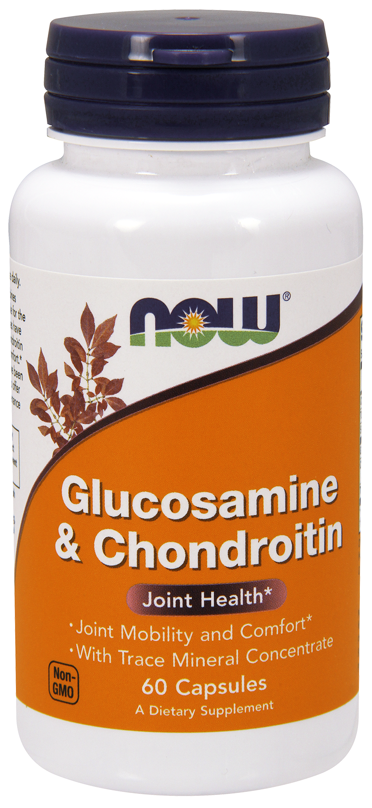 Glucosamine & Chondroitin - 60 Capsules