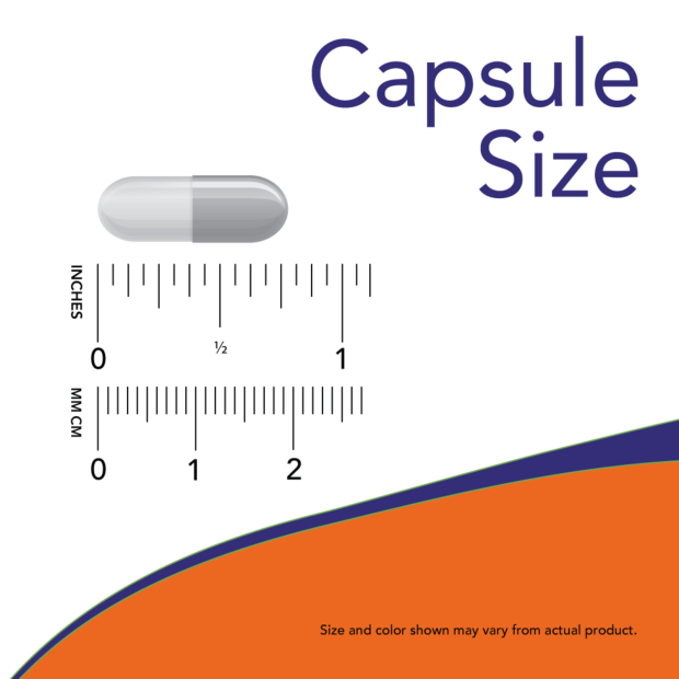 DMG 125 mg - 100 Veg Capsules size chart .75 inch