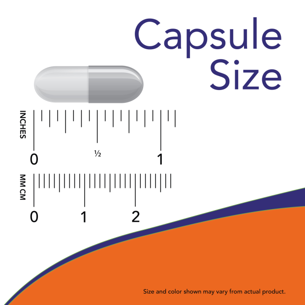 Black Walnut Hulls 500 mg - 100 Veg Capsules Size Chart .85 inch