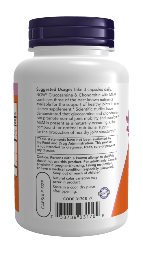 Glucosamine & Chondroitin with MSM - 90 Veg Capsules Bottle Right