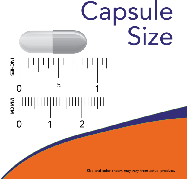 Digest Ultimate™ - 60 Veg Capsules Size Chart .875 inch