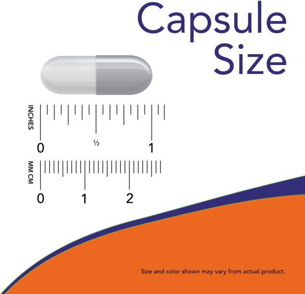 Magnesium & Potassium Aspartate - 120 Veg Capsules Size Chart 1 inch