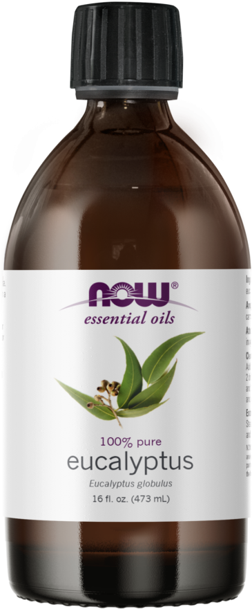 Eucalyptus Globulus Oil - 16 fl. oz. Bottle Front