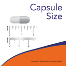 P-5-P 50 mg - 90 Veg Capsules size chart .875 inch