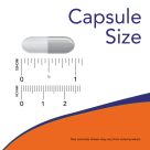 Niacin 500 mg - 100 Capsules size chart 1 inch