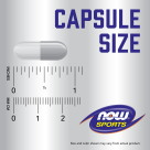 Tribulus 500 mg - 100 Veg Capsules Size Chart .85 inch
