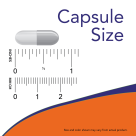 NADH 10 mg - 60 Veg Capsules Size Chart .75 inch