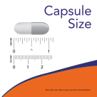 Candida Support - 90 Veg Capsules Size Chart 1 inch