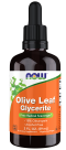 Olive Leaf Glycerite 18% - 2 fl. oz. Bottle Front