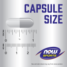 Arginine & Ornithine 500 mg / 250 mg - 100 Veg Capsules Size Chart 1 inch