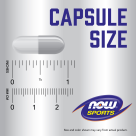 Bottle of Beet Root - 180 Veg Capsules Size Chart .9 inch