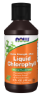 Chlorophyll Liquid, Extra Strength Mint - 4 fl. oz. Bottle Front