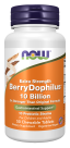 BerryDophilus™ Extra Strength 10 Billion - 50 Chewables Bottle Front