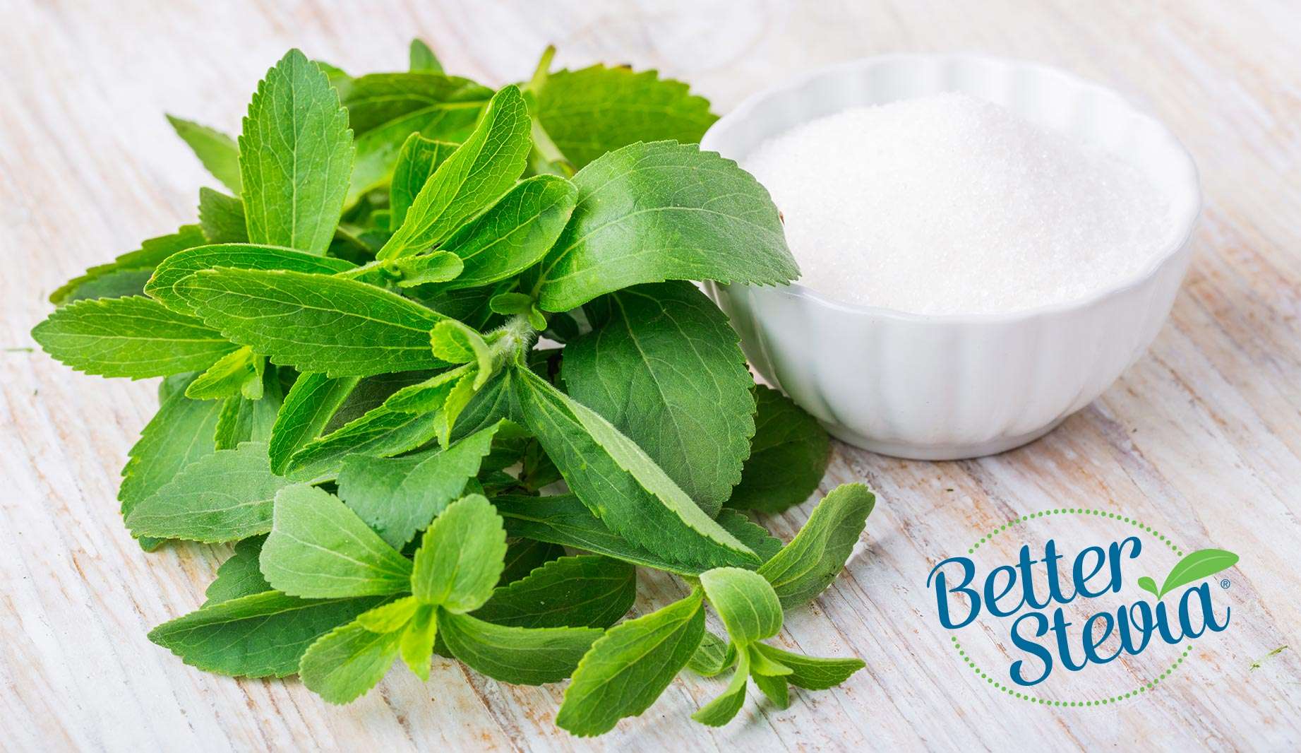 Стевия медовая. Стевия трава от сахара. Стевия запрет почему. Сладкое растение стевия. Сахарозаменитель стевия леовит.