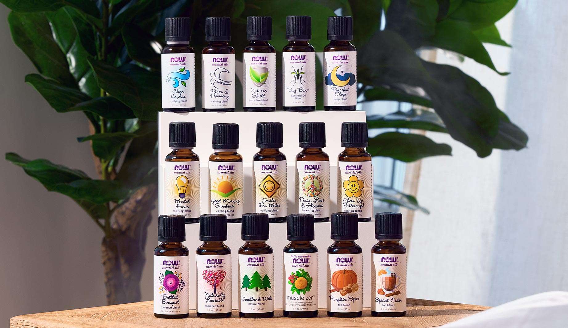 NOW Essential Oils Blends Group.