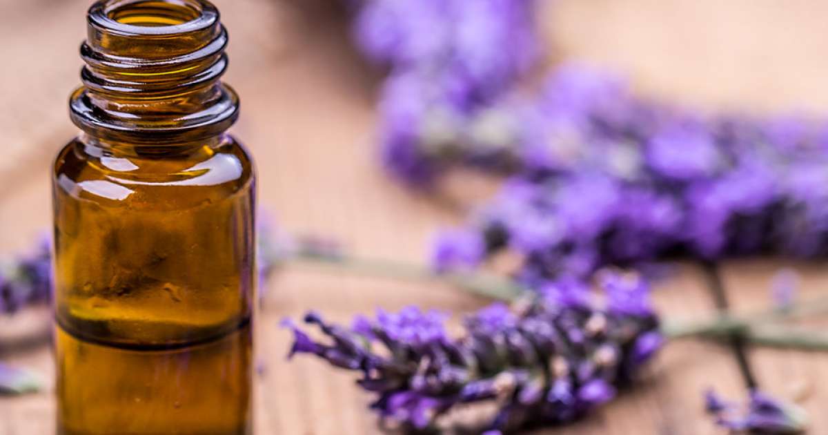 Lavender Oil AFNOR and ISO Standard | NOW Foods