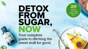 detox from sugar guide thumbnail - plate of cheesecake, bottle of liquid monk fruit on light blue background