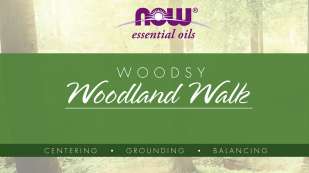 image of a wooded area as a background, purple now logo top center, green band across the middle, "WOODSY" in white text, "Woodland Walk" in white script
