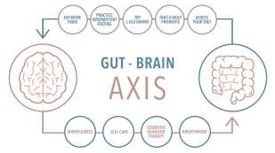 Gut-Brain Axis. Arrow from Brain to Intestines with bubbles reading Mindfulness, Self Care, Cognitive Behavior Therapy, Breathwork. Arrow from Intestines to Brain bubbles reading Assess your diet, Take a daily probiotic, Try L-Glutamine, Practice Intermittent Fasting, and Eat more fiber. 