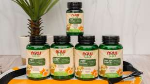 group of NOW Pet Products G.I. Support, Allergy, Joint Support, Pet Relaxant, and Urinary Support