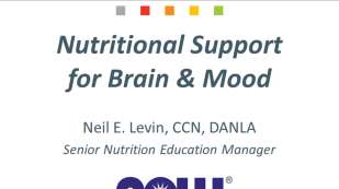 Nutritional Support for Brain and Mood powerpoint title screen