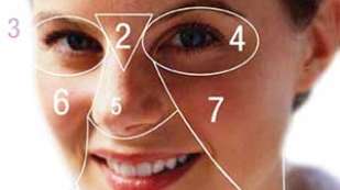 A diagram segmenting different parts of a human face into facial zones, denoted by numbers.