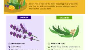 An infographic describing the essentials of essential oils