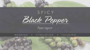 background of a black pepper plant with a black painted stripe over it with the words black pepper