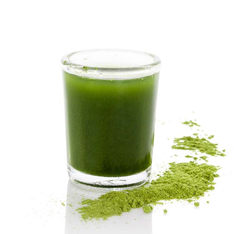 amb michelle l green shot recipe