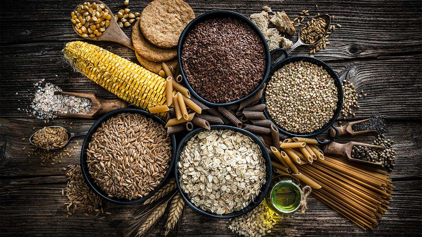 different sources of fiber from beans, oats, grains, corn and more